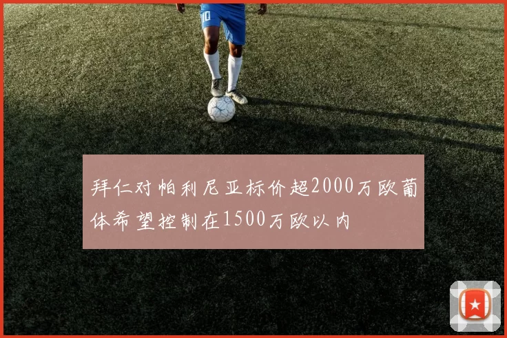 拜仁对帕利尼亚标价超2000万欧葡体希望控制在1500万欧以内