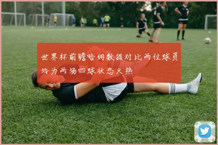 世界杯前瞻哈姆数据对比两位球员均为两场四球状态火热